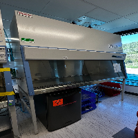 Thermo Scientific 1300 Series A2 BSC- 6ft image 1